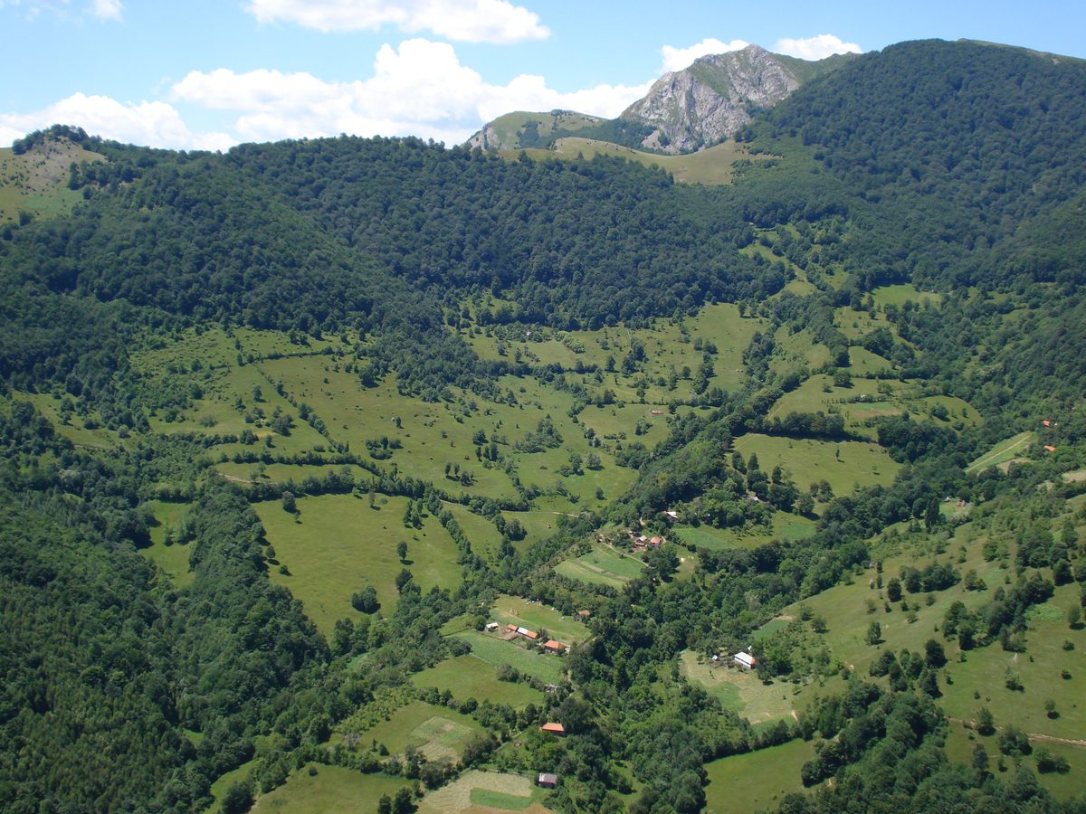 Cătunul Prisăcina